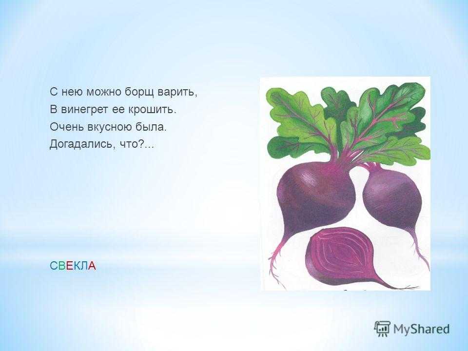 Загадки про свеклу для детей 3-4, 4-5, 6-7 лет с ответами