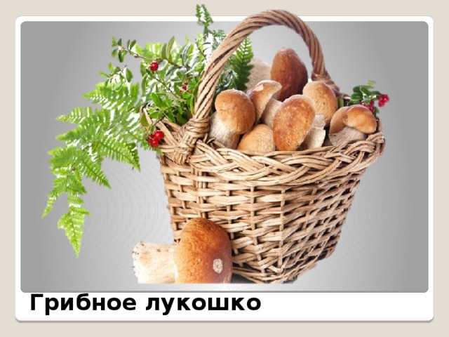 Ужасная встреча — михаил пришвин