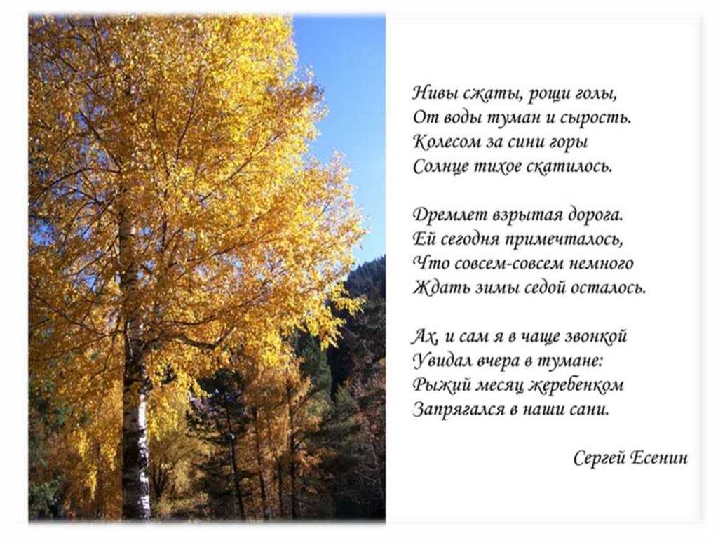 Стихи про осень. красивые, грустные стихи о любви и осени - literator.info