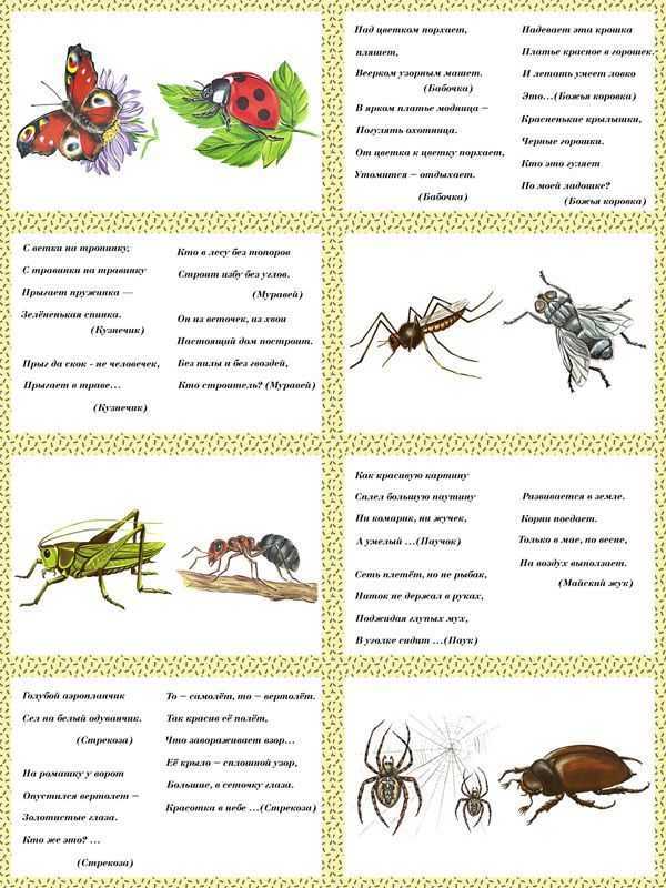 Андрей усачёв – леталка – стихочудовище