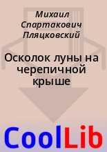 Сказки на ночь
						осколок луны на черепичной крыше