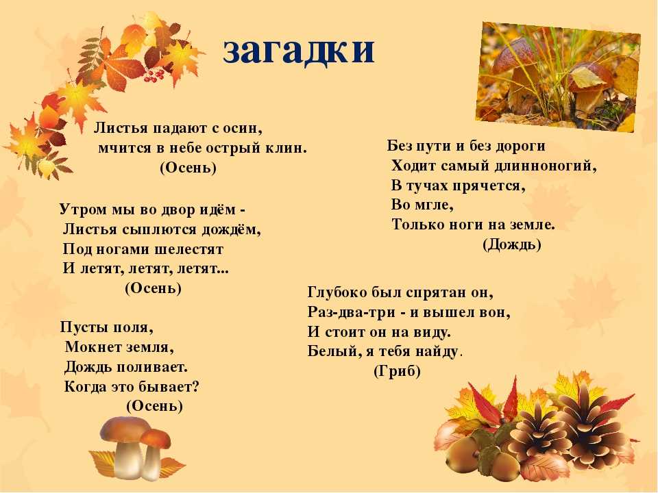 Загадки про растения с ответами для 1-2 класса