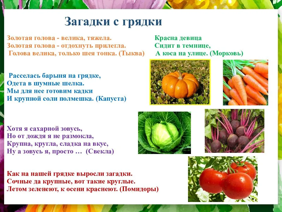 «русский хлеб» – зовём мы крошку. загадки про картошку