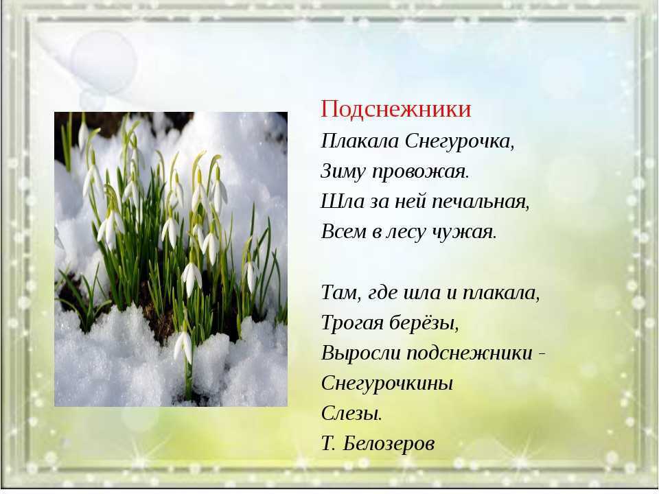 Стихи Пушкина про весну для школьников Как Пушкин называет весну Стихи небольшие по объему, короткие Они легко учатся, запоминаются Подойдут для школьников и всех, кто любит классическую литературу
