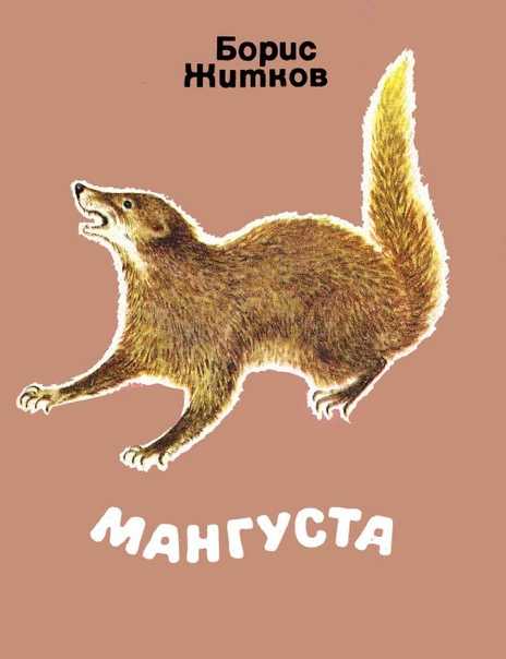 Борис житков - мангуста » книги читать онлайн бесплатно без регистрации