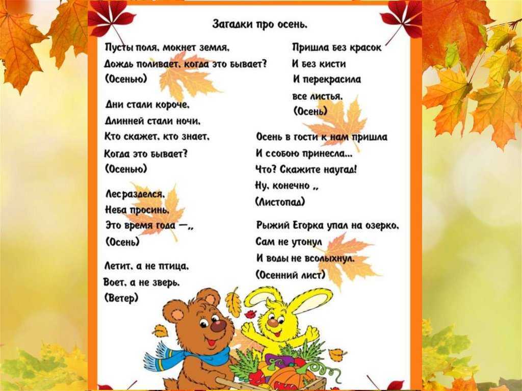 Загадки про растения для детей 6-7 лет с ответами