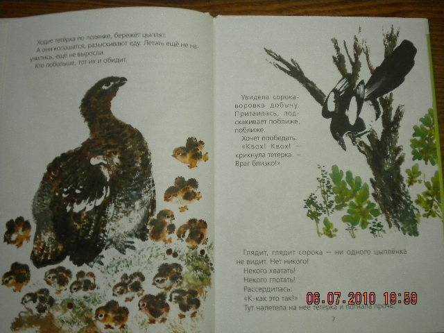 Детские сказки читать онлайн - детские сказки воробей евгений чарушин читать детские рассказы онлайн