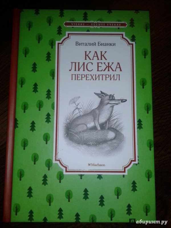 Как лис ежа перехитрил — виталий бианки