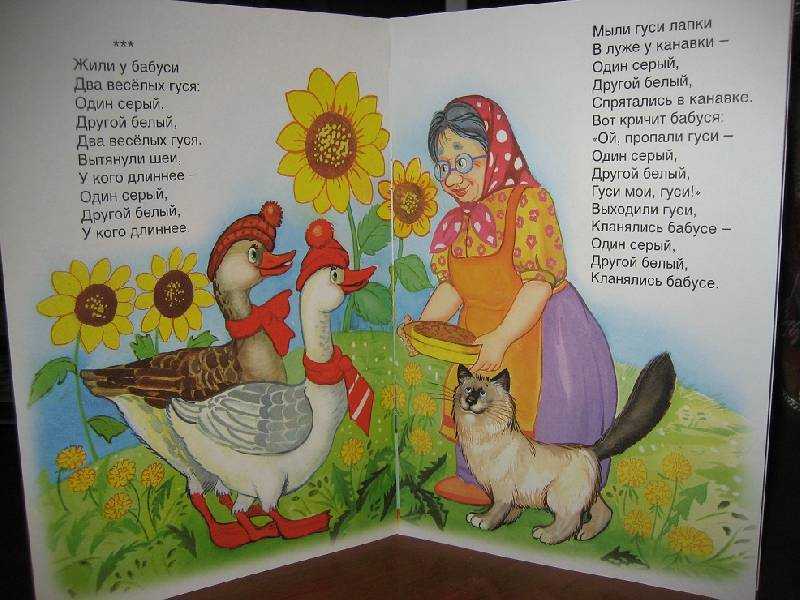 Потешка гуси, гуси!
