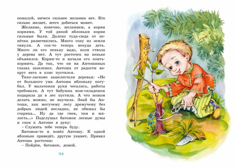 Web ирбис
