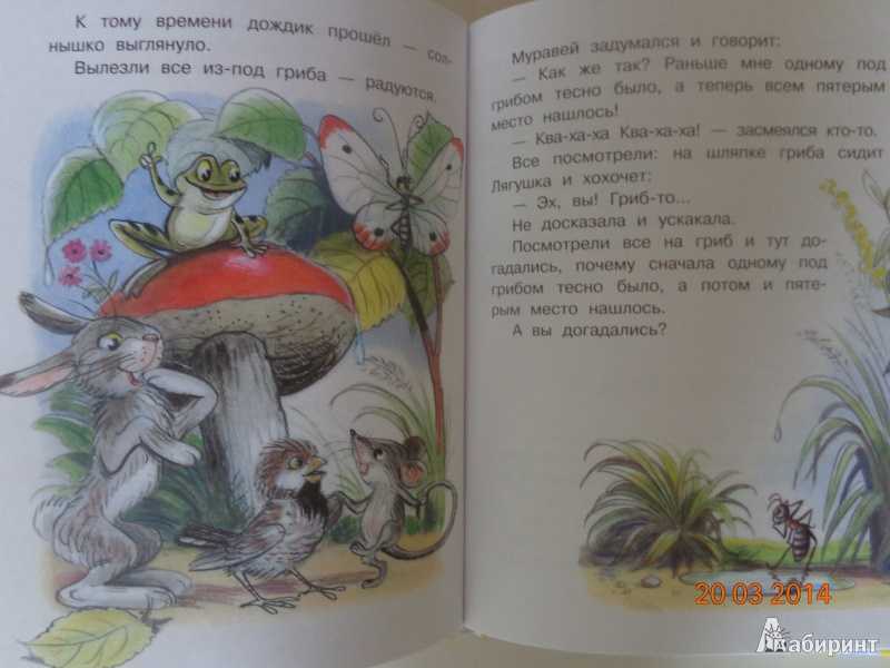 Владимир сутеев: времена года