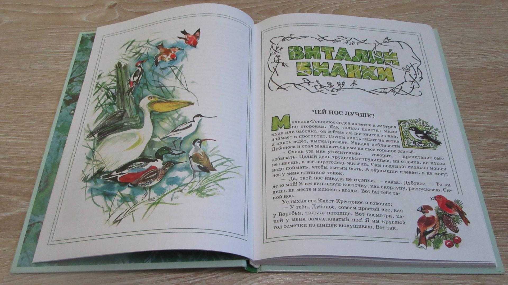 Бианки виталий валентинович. зеленый пруд (стр. 1) - modernlib.net