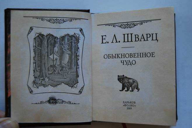 Обыкновенное чудо - страница 1